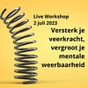Live Workshop Versterk je veerkracht, vergroot je mentale weerbaarheid