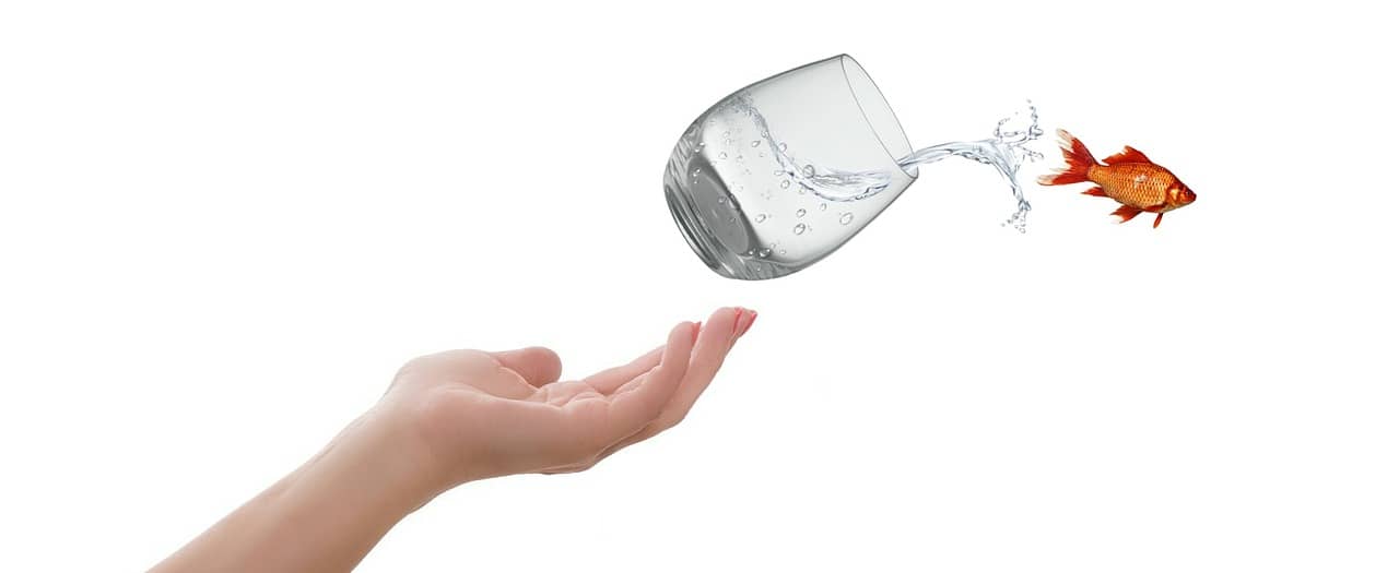 hand met daarin glas met water waaruit een goudvis springt om andere horizons op te zoeken