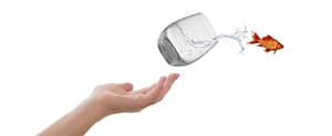 hand met daarin glas met water waaruit een goudvis springt om andere horizons op te zoeken
