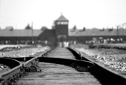 veerkracht in een concentratiekamp